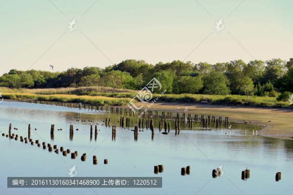 海灣