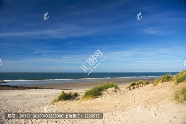 阿默蘭島海灘