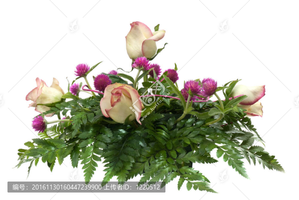 玫瑰的花束