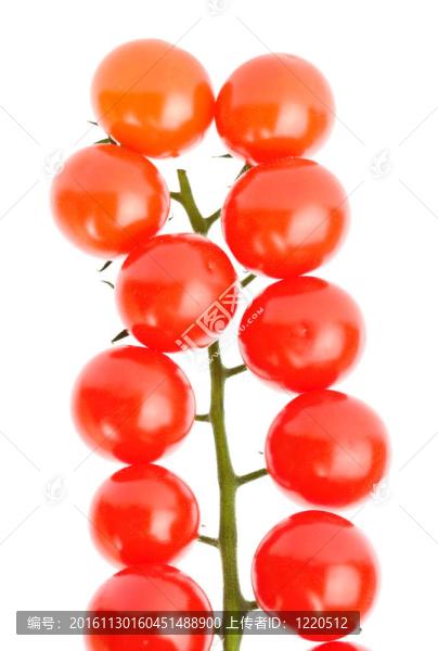 櫻桃番茄簇
