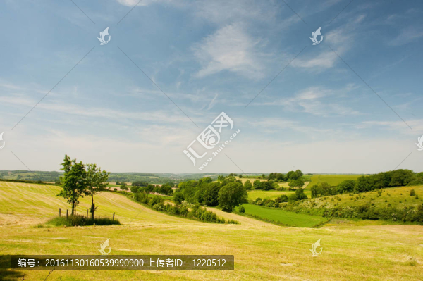 丘陵綠地景觀