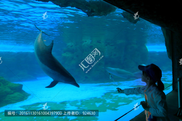 小孩與海豚親密接觸