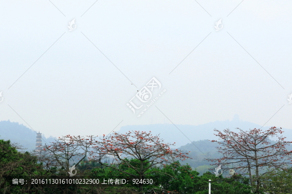 全景掃描惠州遠(yuǎn)眺
