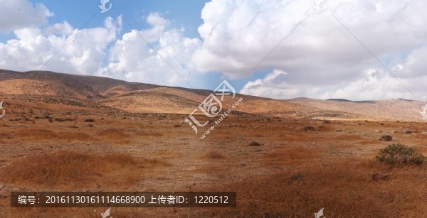 希伯倫的山在以色列南部的內蓋夫沙漠邊緣斜坡景觀