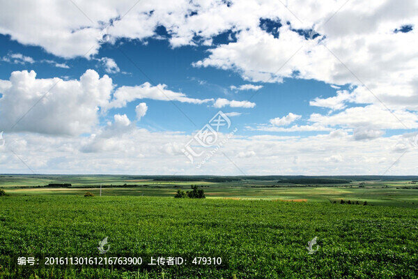 大田,TIF格式