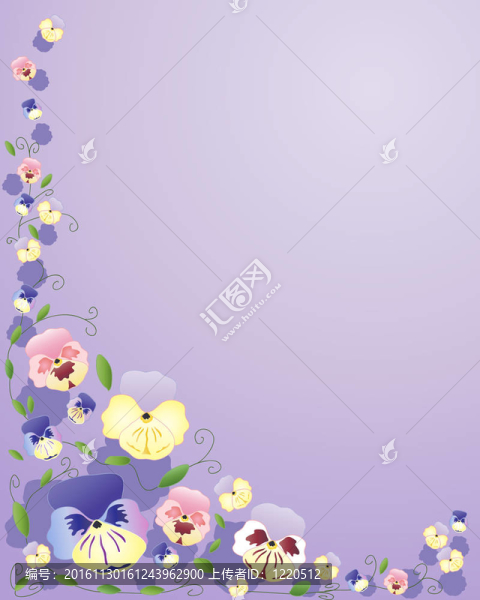 三色紫羅蘭