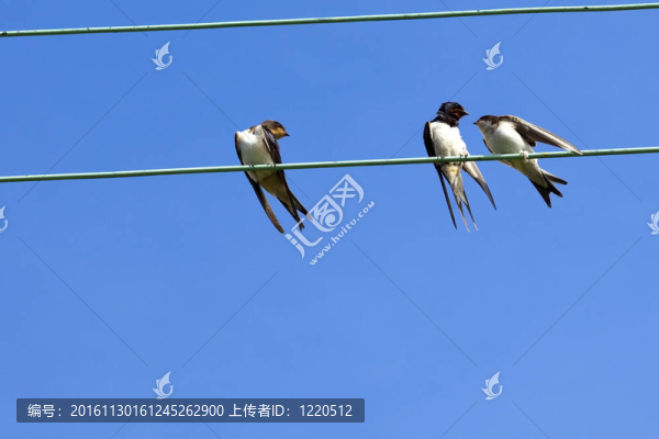 準備離開