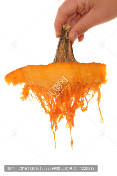 南瓜的頂部
