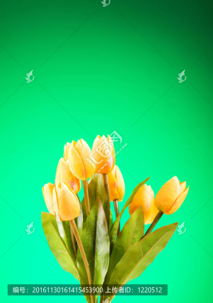 桌上五顏六色的郁金香花束