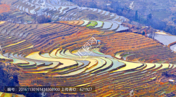 梯田風(fēng)光