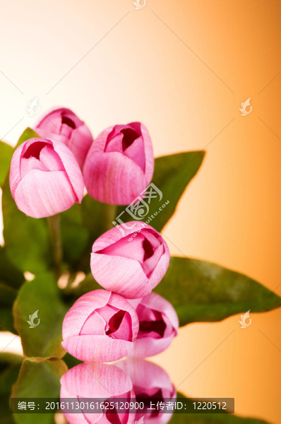 桌上五顏六色的郁金香花束