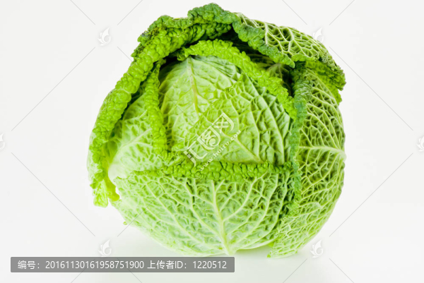 新鮮的卷心菜