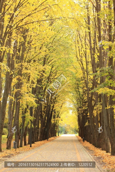 秋天公園里的小路