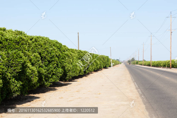 奧蘭治灣
