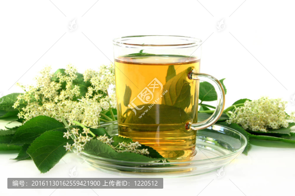 接骨木茶