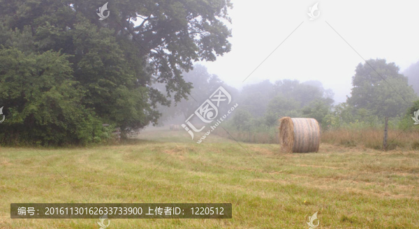 haystacks_0268