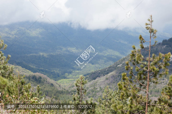 巨大紅杉國家紀(jì)念碑