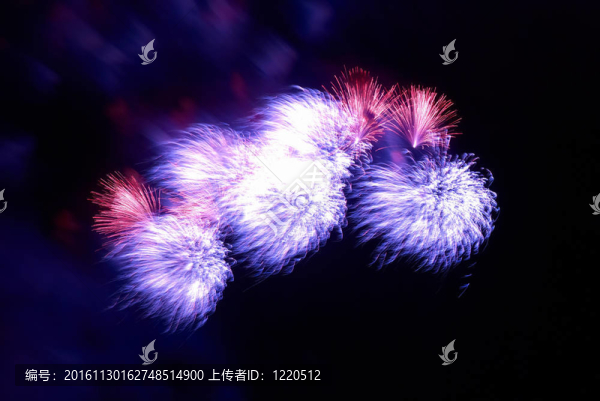 美麗的煙花