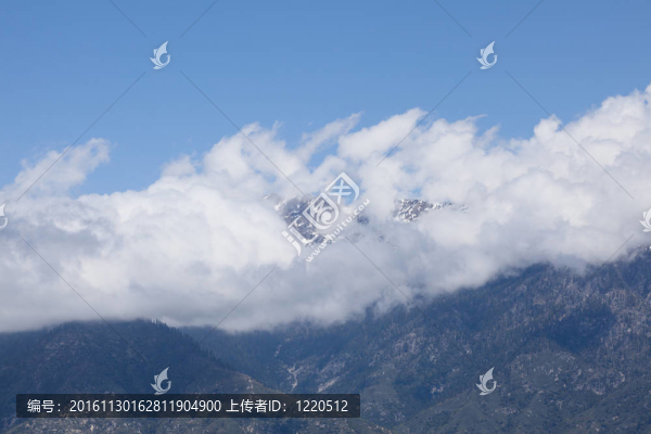 巨大紅杉國家紀(jì)念碑