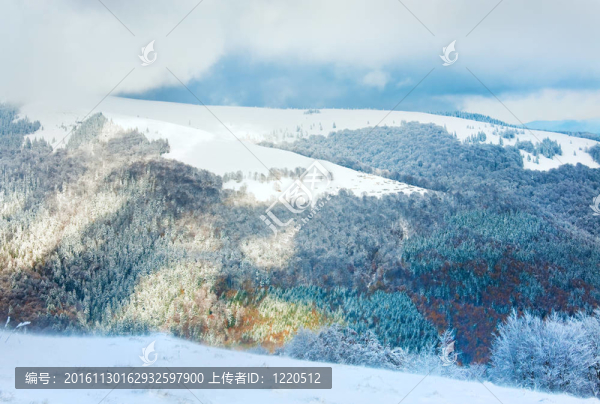 十月的山櫸木森林邊緣與第一個冬天的雪和去年秋天色彩繽紛的樹葉在山腰（惡劣大風(fēng)天氣開始）