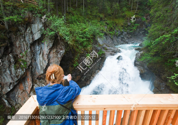 阿爾卑斯山夏季景觀