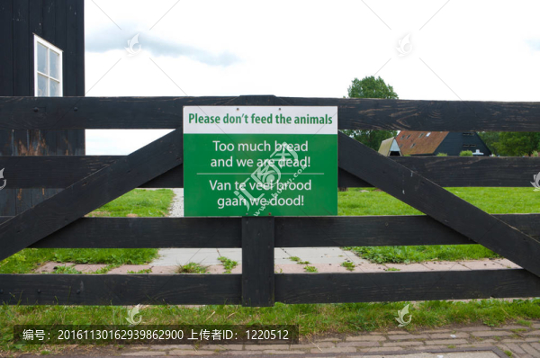 不要喂動物