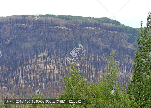 沉溺火燃燒在高山；AZ