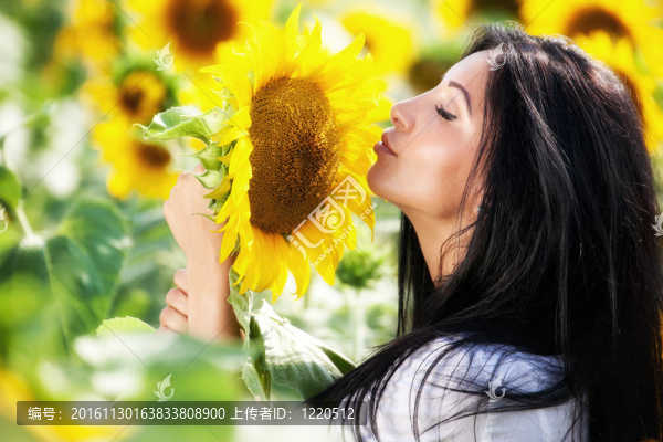 向日葵領(lǐng)域的年輕女性