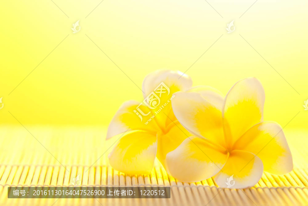 熱門預訂花竹背景