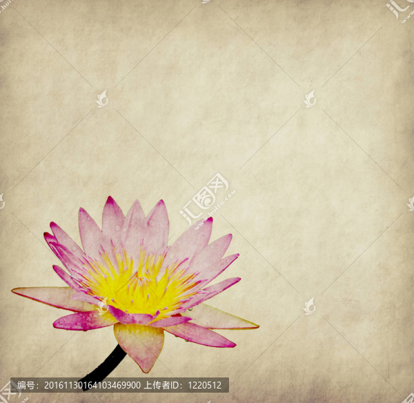 蓮花集抽象背景畫