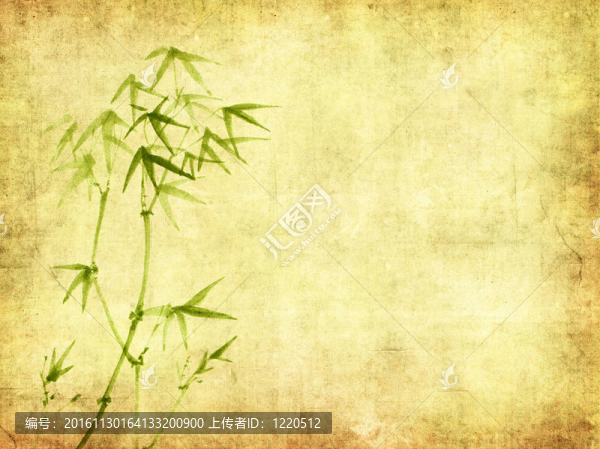 具有手工紙紋理的中國竹子設(shè)計(jì)