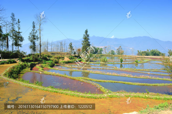 元陽(yáng)云南水稻梯田