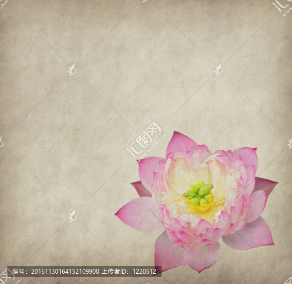 蓮花集抽象背景畫