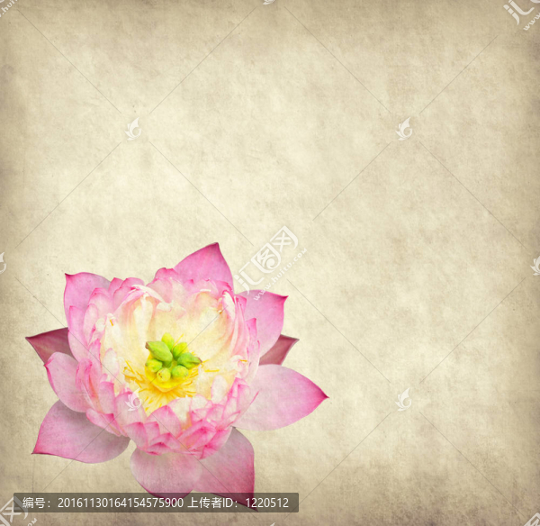 蓮花集抽象背景畫(huà)