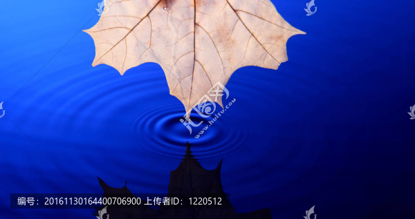 落入水中的水