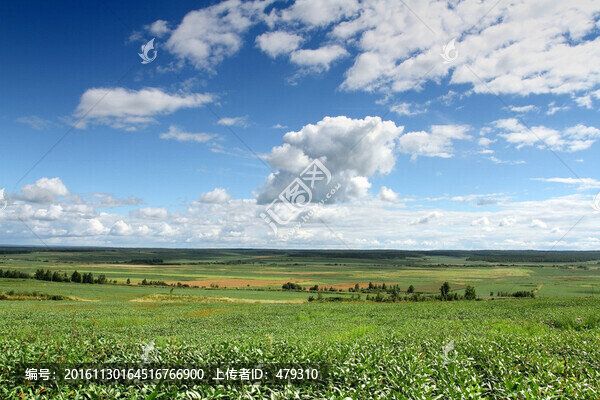 大田,TIF格式