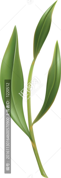 茶葉