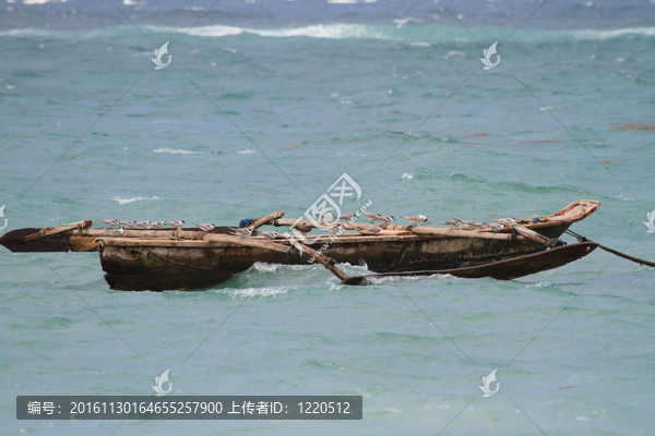 遠(yuǎn)洋獨(dú)木舟