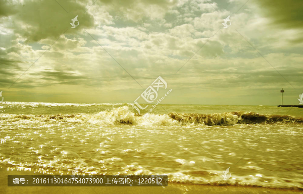 詳細(xì)的海灘