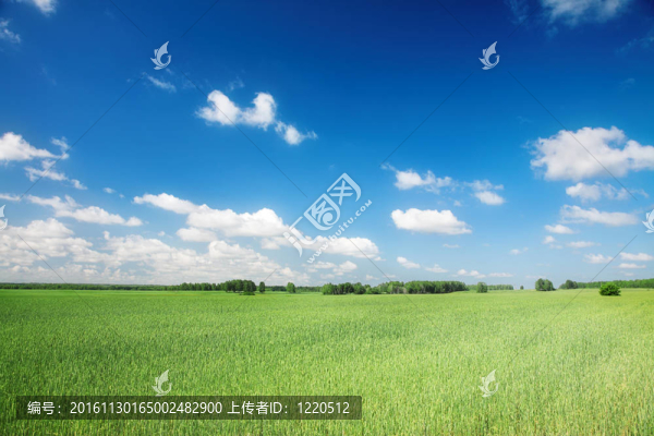農(nóng)業(yè)景觀