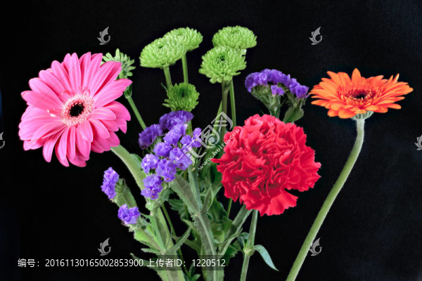 一束鮮艷的花
