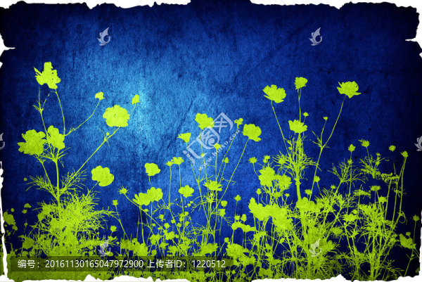花摘要