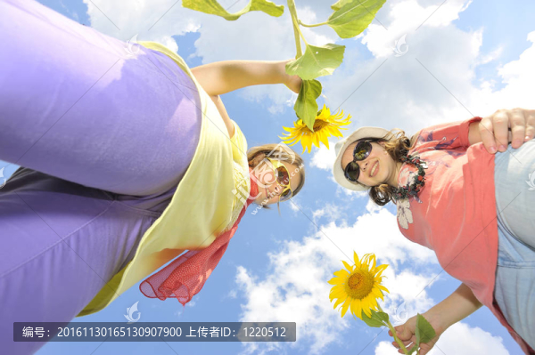 美少女和向日葵