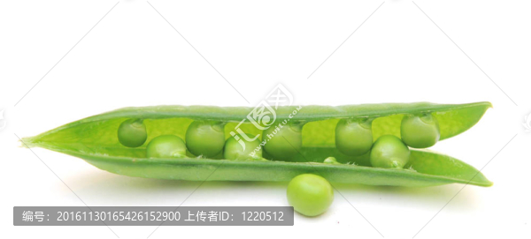 在白色背景上分離的新鮮青豌豆