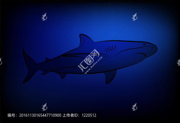 鯊魚在海洋