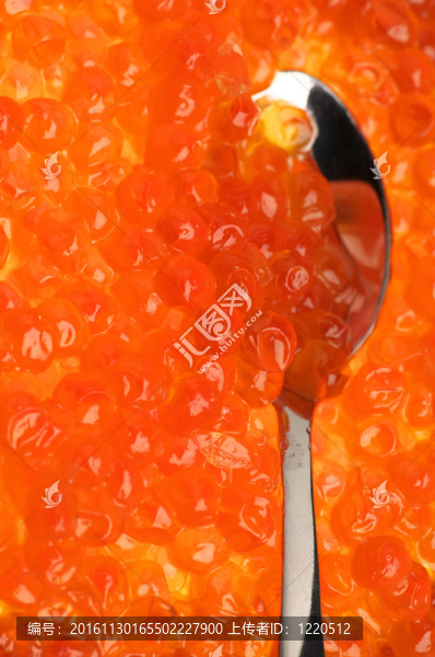 鮭魚魚子醬的特寫