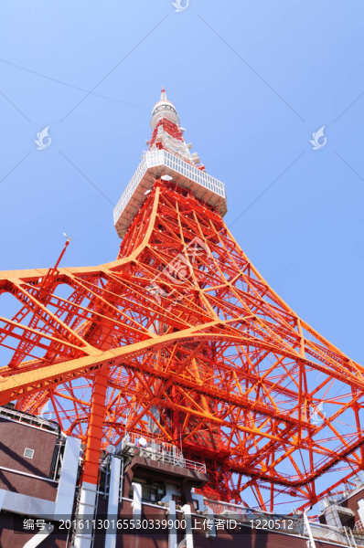 東京；日本