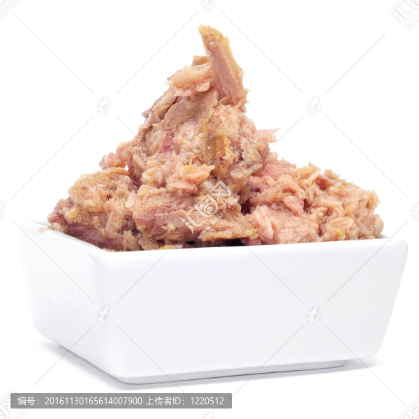 金槍魚