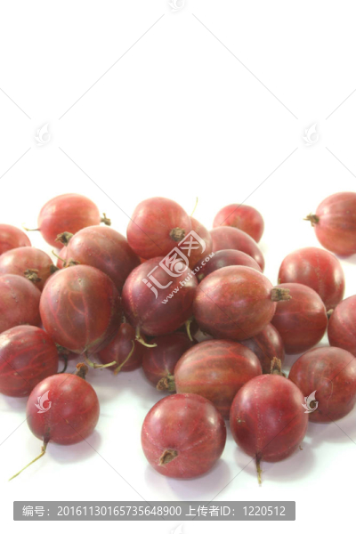 醋栗