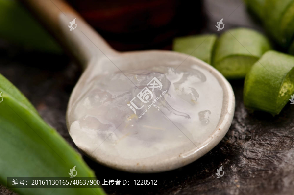 鮮葉蘆薈汁